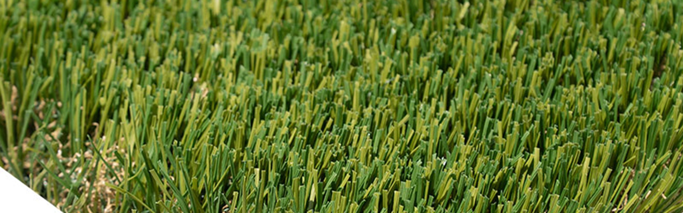 Oakmont Supreme Artificial Grass